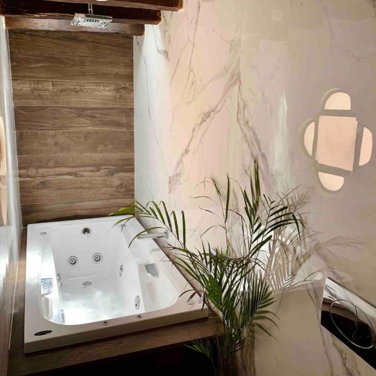 La Pajarera prime location in San Miguel - Apartamento - 62