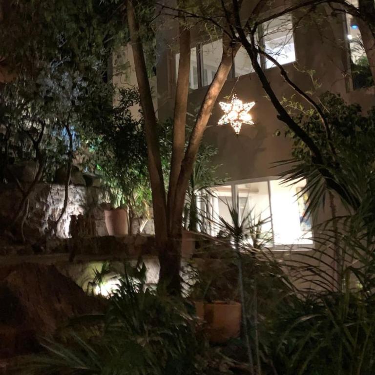 Perfect get away walking distance to centro - Apartamento - 5