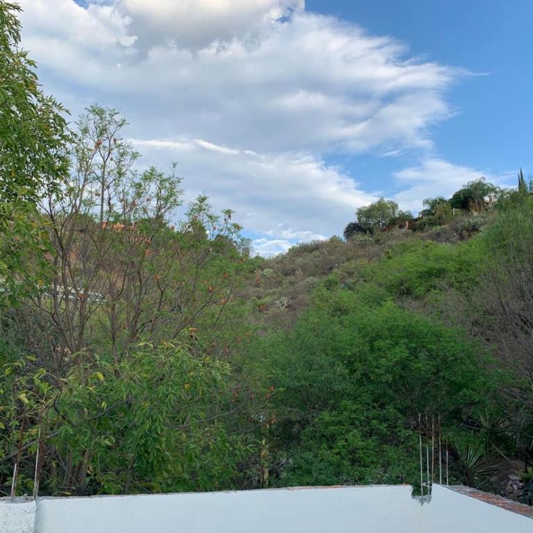 Perfect get away walking distance to centro - Apartamento - 7