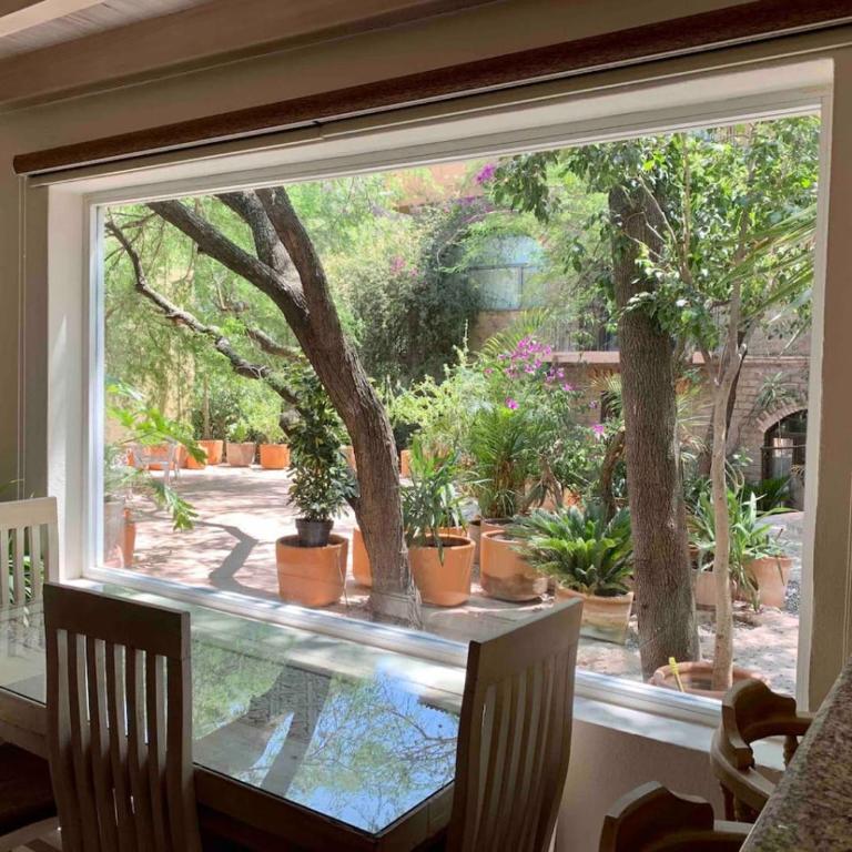 Perfect get away walking distance to centro - Apartamento - 10