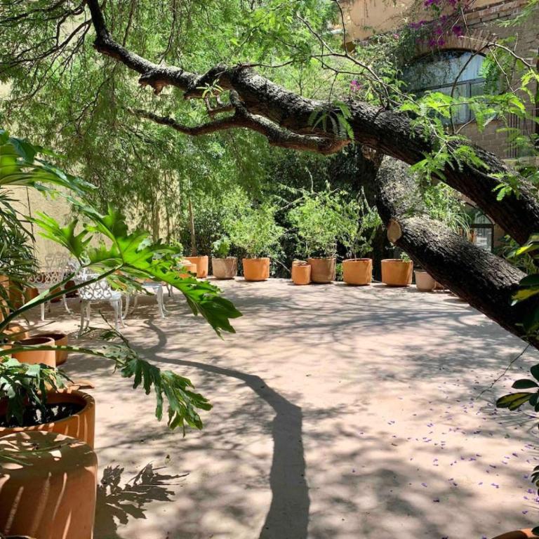 Perfect get away walking distance to centro - Apartamento - 12