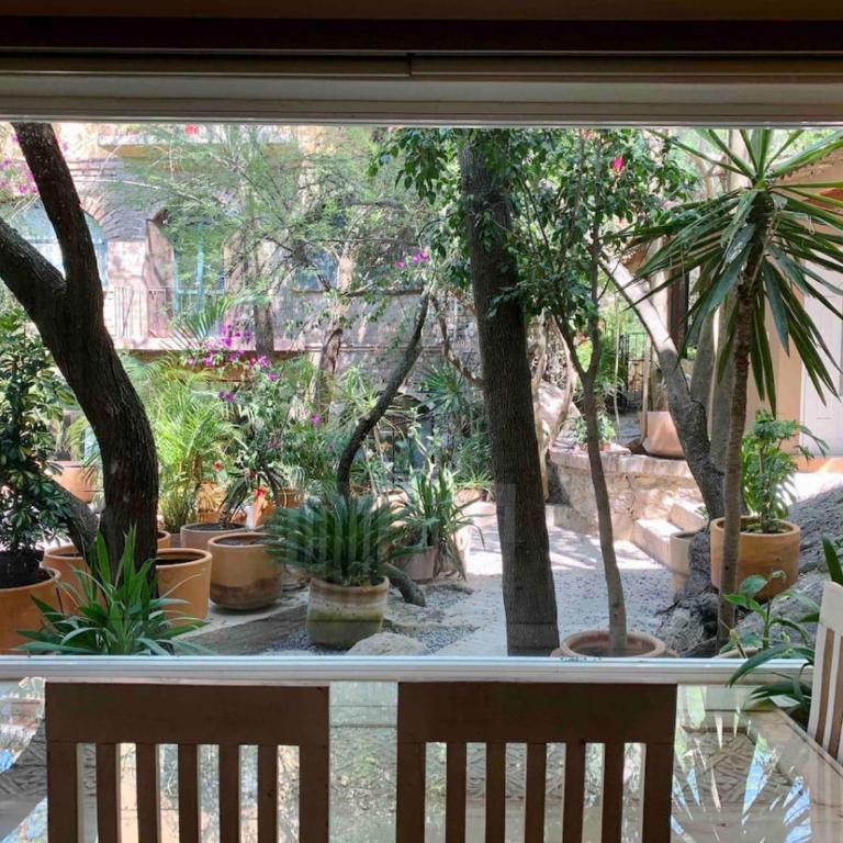 Perfect get away walking distance to centro - Apartamento - 20