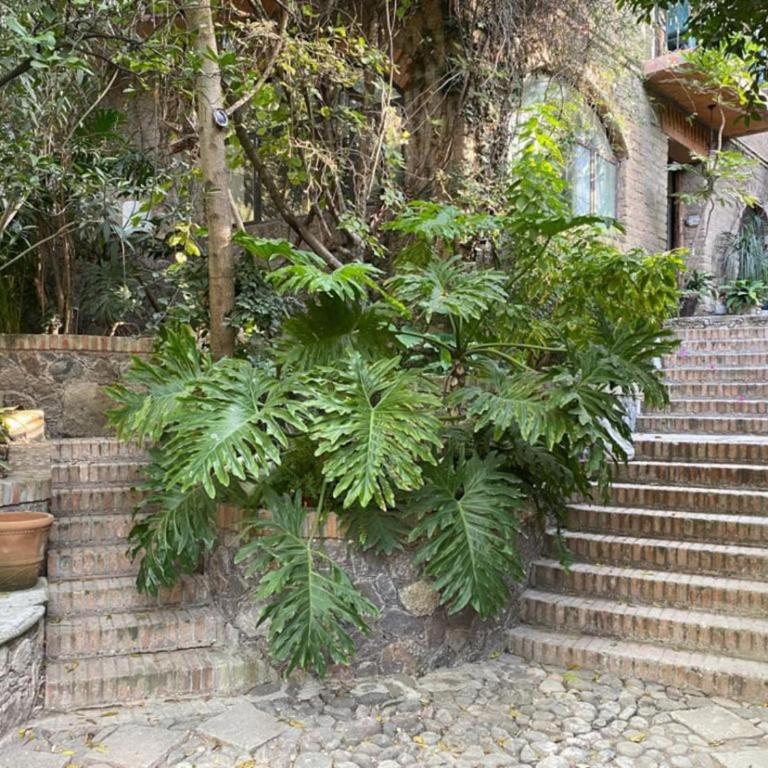 Comfortable loft and great location - Suite de 1 dormitorio - 23