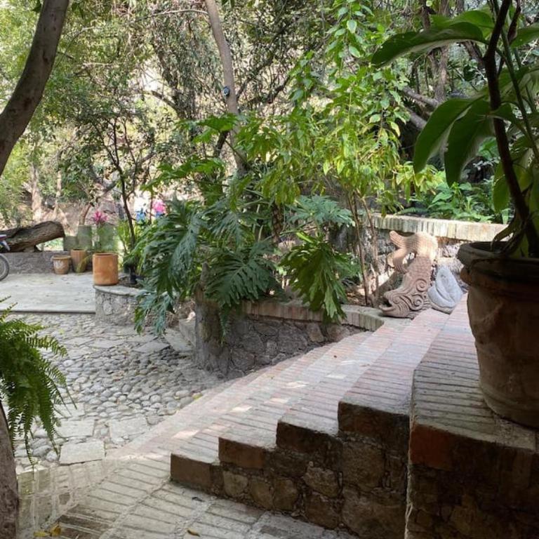 Comfortable loft and great location - Suite de 1 dormitorio - 26