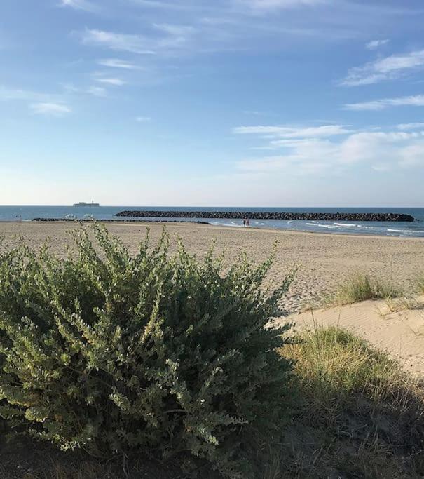 Les Terrasses de la Plage 268 , T2 climatisé, vue mer, parking, terrasse - Appartement 1 Chambre - 31