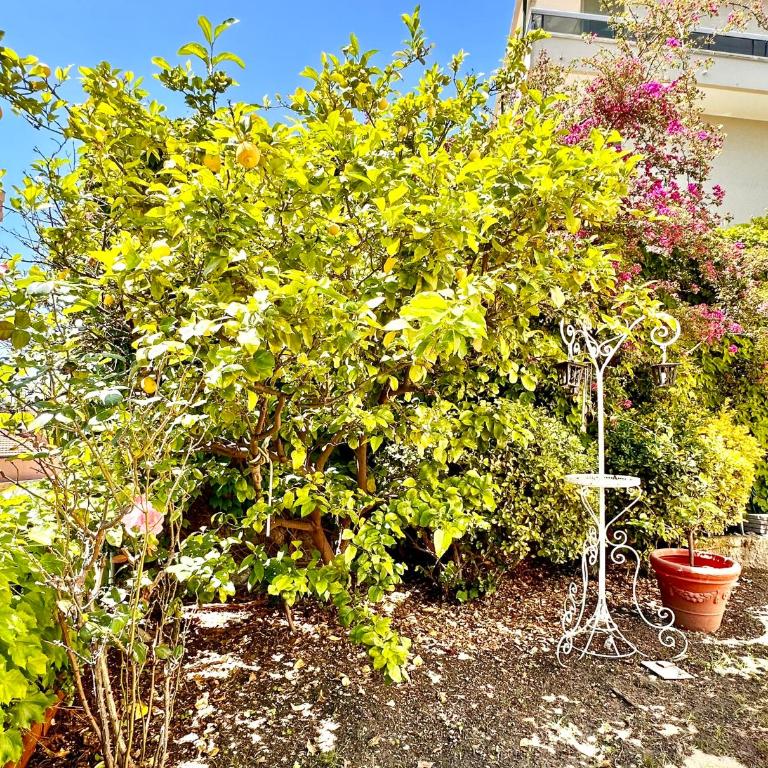 Hostdomus - Villino Matilde - Appartamento con 2 Camere da Letto - 11