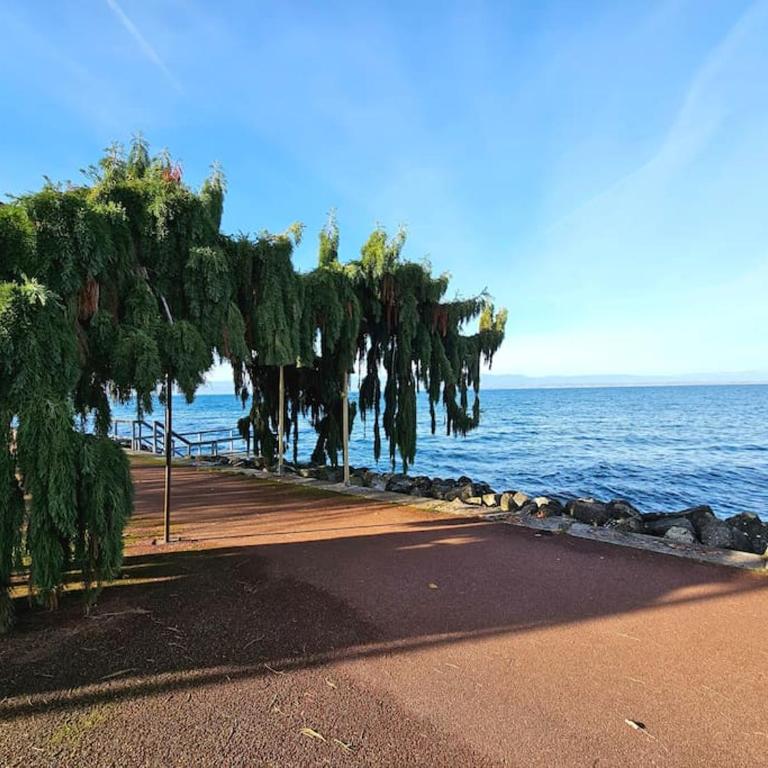 "EVIAN le PANORAMIC", magnifique Vue LAC et montagne - One-Bedroom Apartment with Balcony and Water View - 15