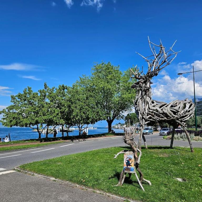 "EVIAN le PANORAMIC", magnifique Vue LAC et montagne - One-Bedroom Apartment with Balcony and Water View - 16