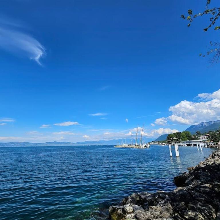 "EVIAN le PANORAMIC", magnifique Vue LAC et montagne - One-Bedroom Apartment with Balcony and Water View - 17