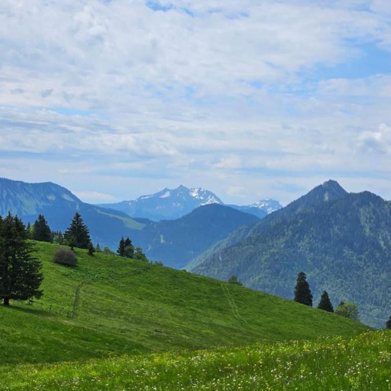 "EVIAN le PANORAMIC", magnifique Vue LAC et montagne - One-Bedroom Apartment with Balcony and Water View - 21