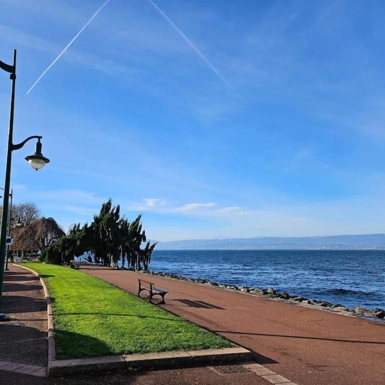 "EVIAN le PANORAMIC", magnifique Vue LAC et montagne - One-Bedroom Apartment with Balcony and Water View - 22