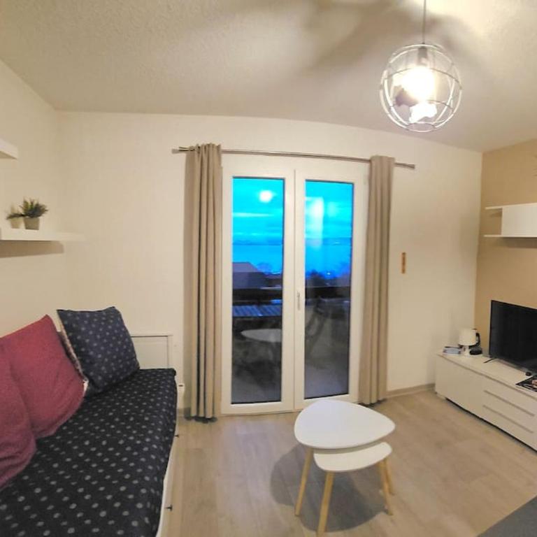"EVIAN le PANORAMIC", magnifique Vue LAC et montagne - One-Bedroom Apartment with Balcony and Water View - 5
