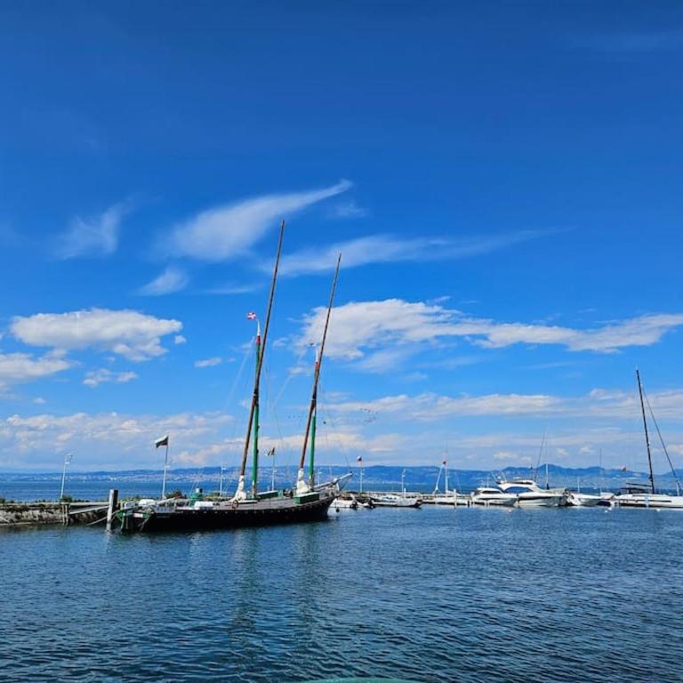 "EVIAN le PANORAMIC", magnifique Vue LAC et montagne - One-Bedroom Apartment with Balcony and Water View - 27