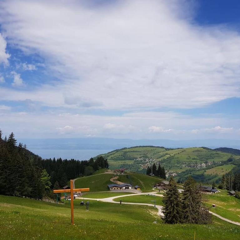 "EVIAN le PANORAMIC", magnifique Vue LAC et montagne - One-Bedroom Apartment with Balcony and Water View - 29