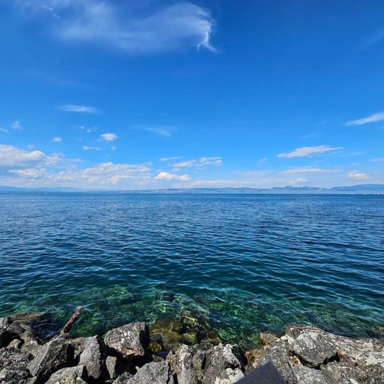 "EVIAN le PANORAMIC", magnifique Vue LAC et montagne - One-Bedroom Apartment with Balcony and Water View - 30