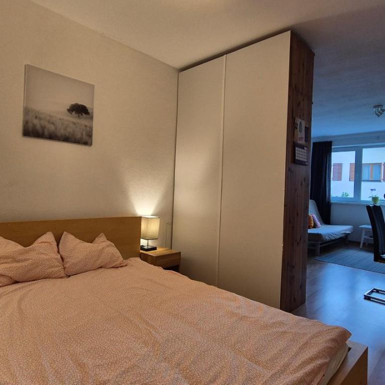 Studio Bike & Snow - Apartment mit 1 Schlafzimmer - 3