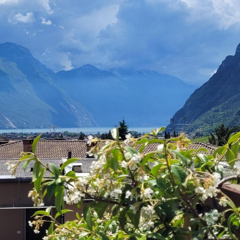 appartamento SUNLIGHT - Appartamento con 1 Camera da Letto - 48