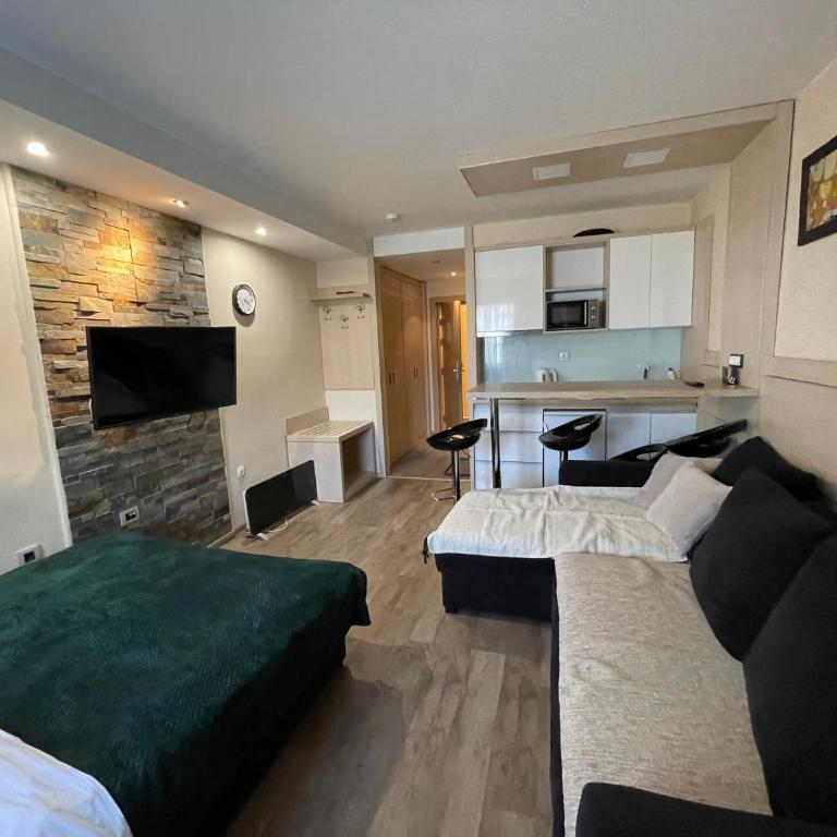 Apartments Konaci Kopaonik - Studio with Mountain View - 4