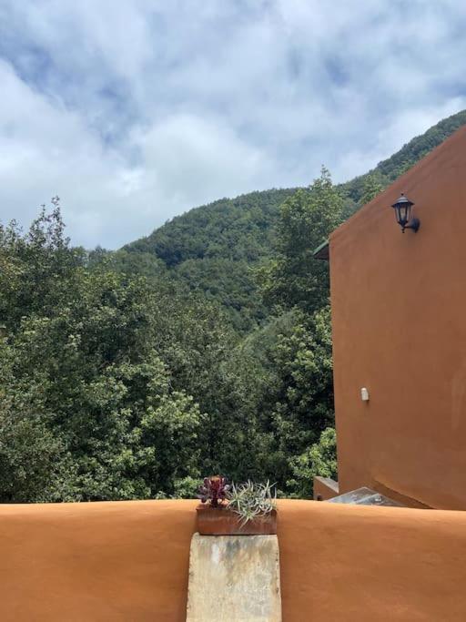 Refugio Luz de vida Anaga - Casa de 3 dormitorios - 15
