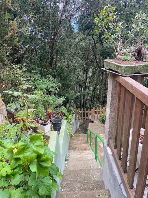 Refugio Luz de vida Anaga - Casa de 3 dormitorios - 18