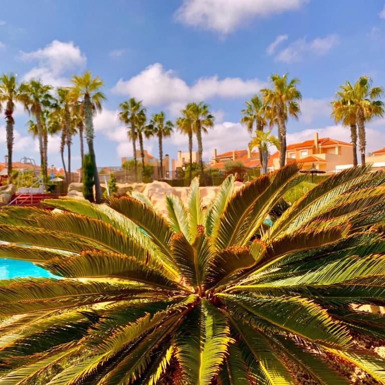 8 Bungalow familiar con Piscina Gran Alacant - Three-Bedroom House - 47