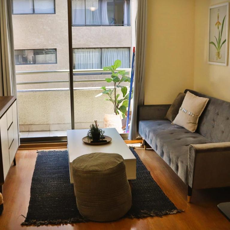 HOM I Luminoso Depto 1D1B en Marcoleta Santiago - Apartamento - 20
