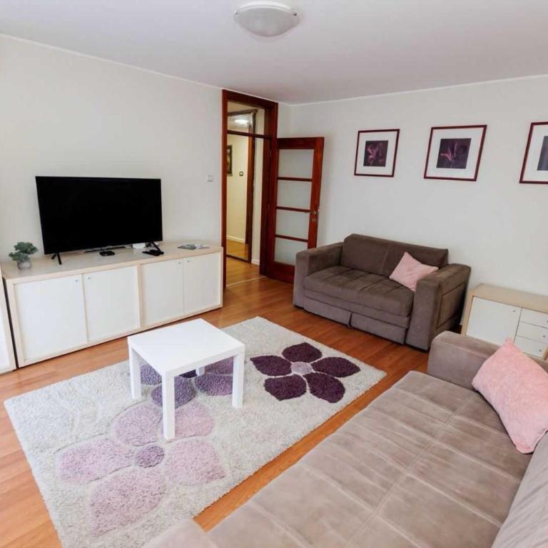 Mirror Apartment - One-Bedroom Apartment - 1