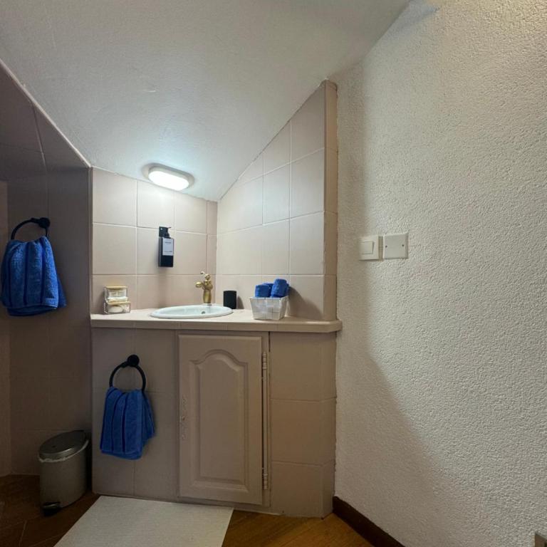 Appartement en duplex - Apartamento de 1 dormitorio - 24
