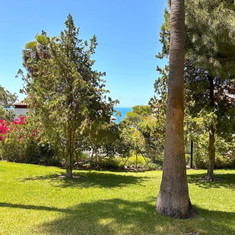 Vistas del Mar Casasol - Apartamento con terraza - 41