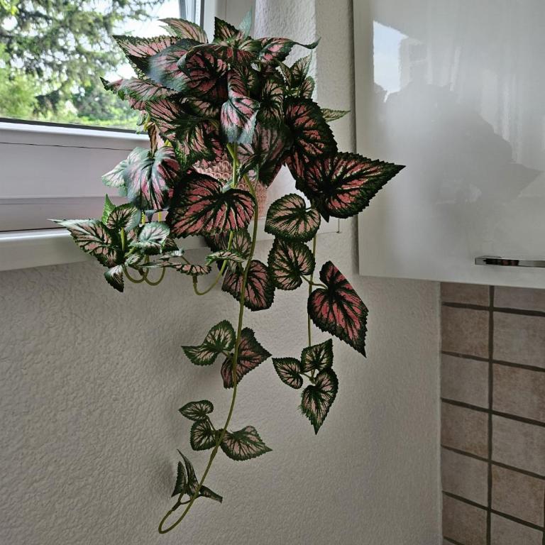 Apartman Aladin - Two-Bedroom Apartment - 17