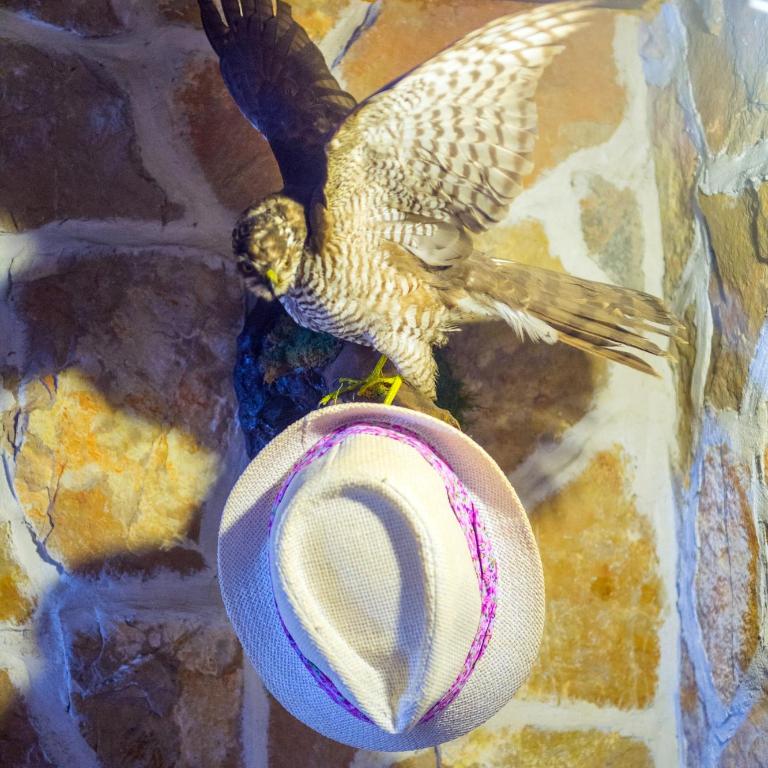 Villa Maria - Villa with Private Pool - 60