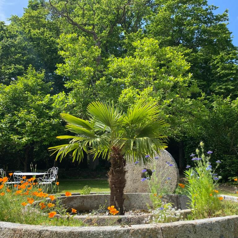 Manoir Du Parc (Adults only) - Small Double Room - Manor - 13