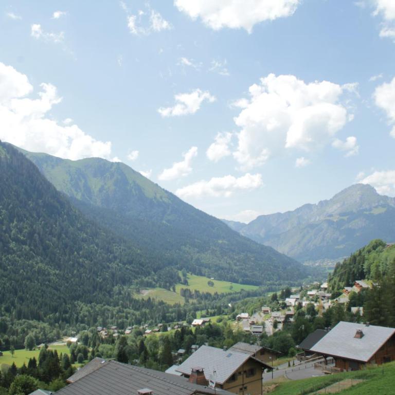 Hameau des 4 saisons HSA20 VIEW & SUN 4 pers - Appartement avec Balcon - 23