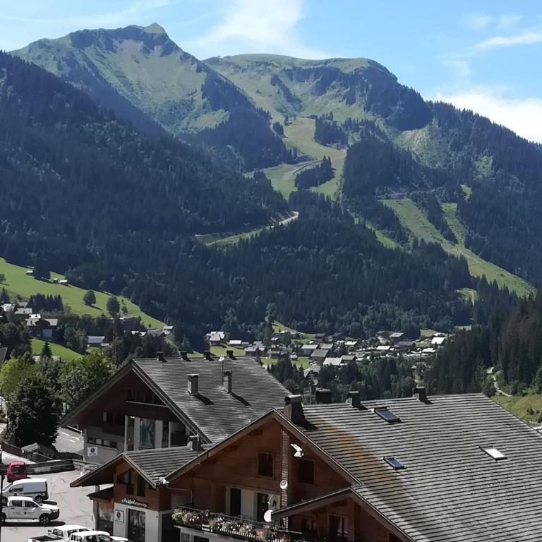 Grépon GP6 CENTER & MOUNATIN 6 Pers - Apartamento con balcón - 21
