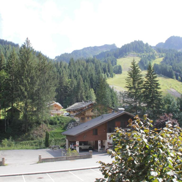 Moulin ML154 TELECABINE & MOUNTAIN 3 pers - Studio - 14