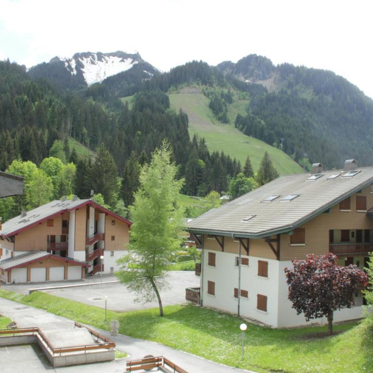 Portes Du Soleil PSA47 TELECABINE & MOUNTAIN 4 Per - Monolocale - 16