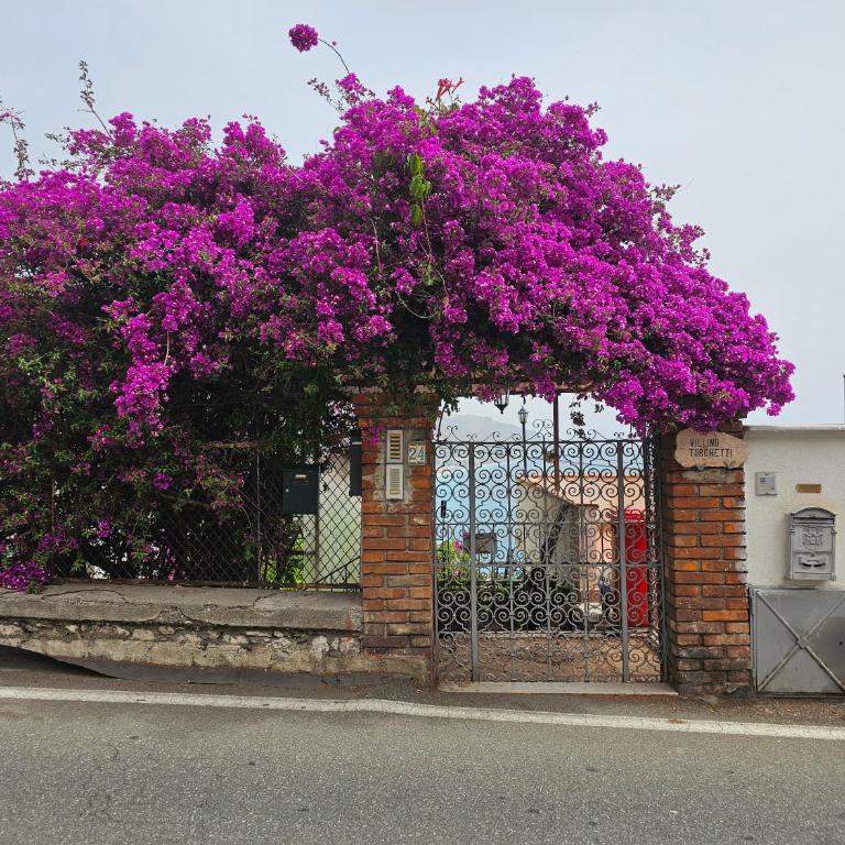 Marenza House, Taormina di Villino Turchetti - One-Bedroom House - 3