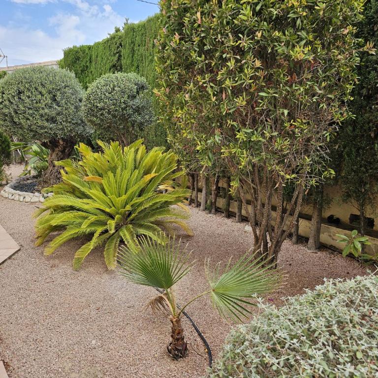 Luxury Villa - pool, hot tub, aircon, TVs, home cinema, office, Gbit Internet, sports equipment - Villa - 34