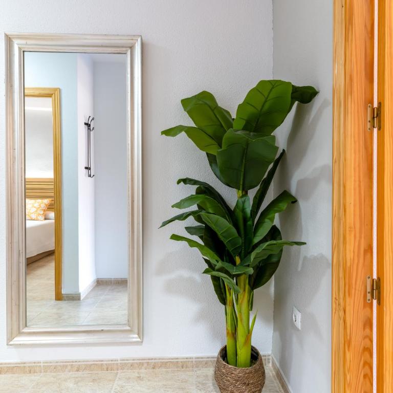 Mediterráneo Studio R&R - One-Bedroom Apartment - 28