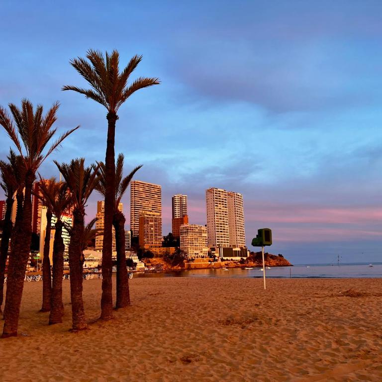 Blue Horizon - Apartamento de 1 dormitorio - 36