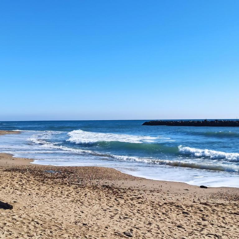 T2 RDC avec Jardin, Cap d'Agde, Secteur Falaise, 100 m plage, Clim, WIFI, Parking - Apartment mit 1 Schlafzimmer - 16