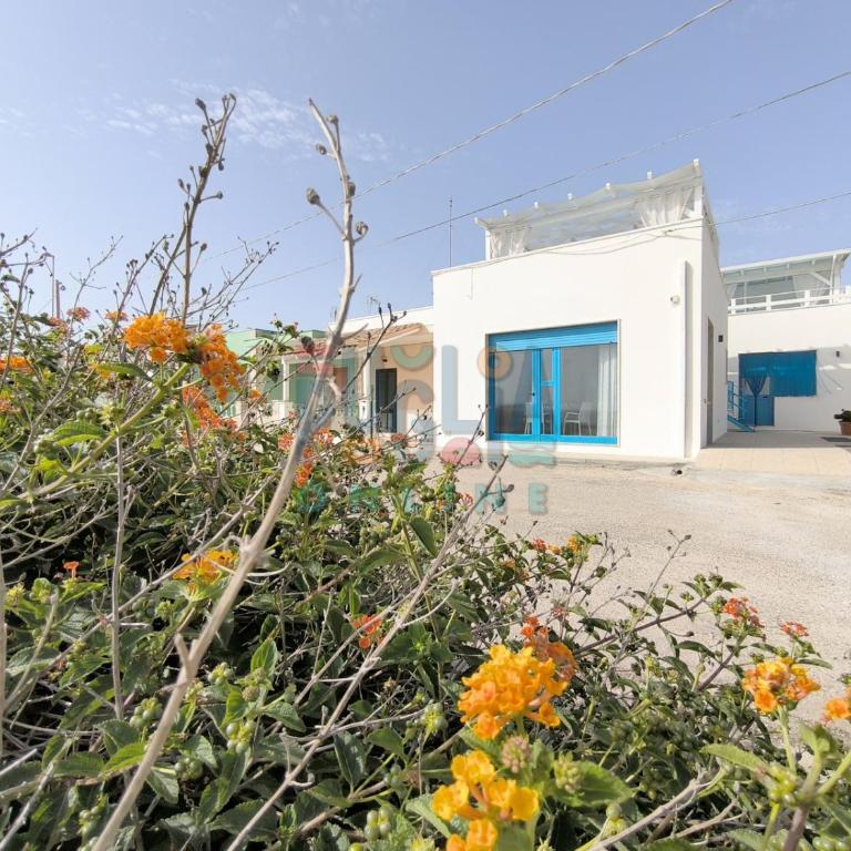 La Corte sul Mare Puglia On line - Appartamento Monolocale - 1