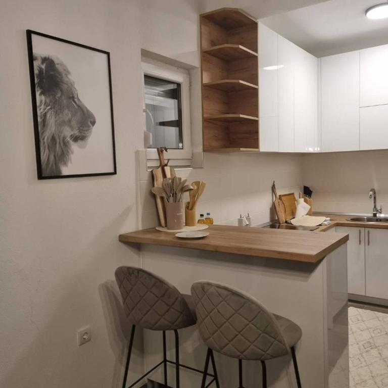 Black Forest House - Standardni Apartman sa 1 Spavaćom Sobom - 5