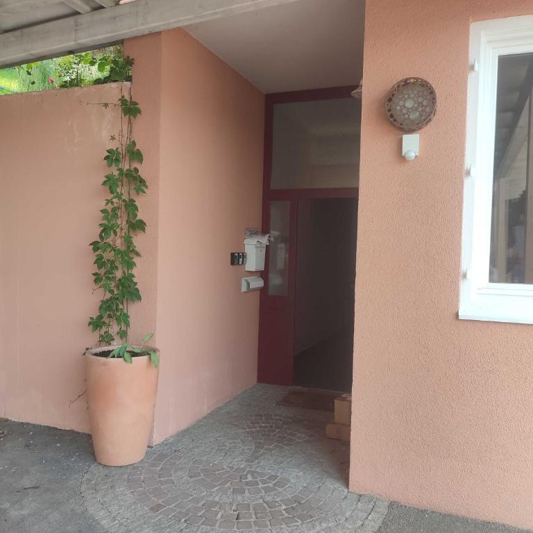Haus Zinnauer - Apartment - 19