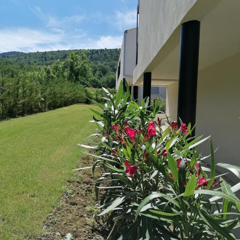 A GAUGUIN Cyclistes Ventoux - Appartement 1 Chambre - 28