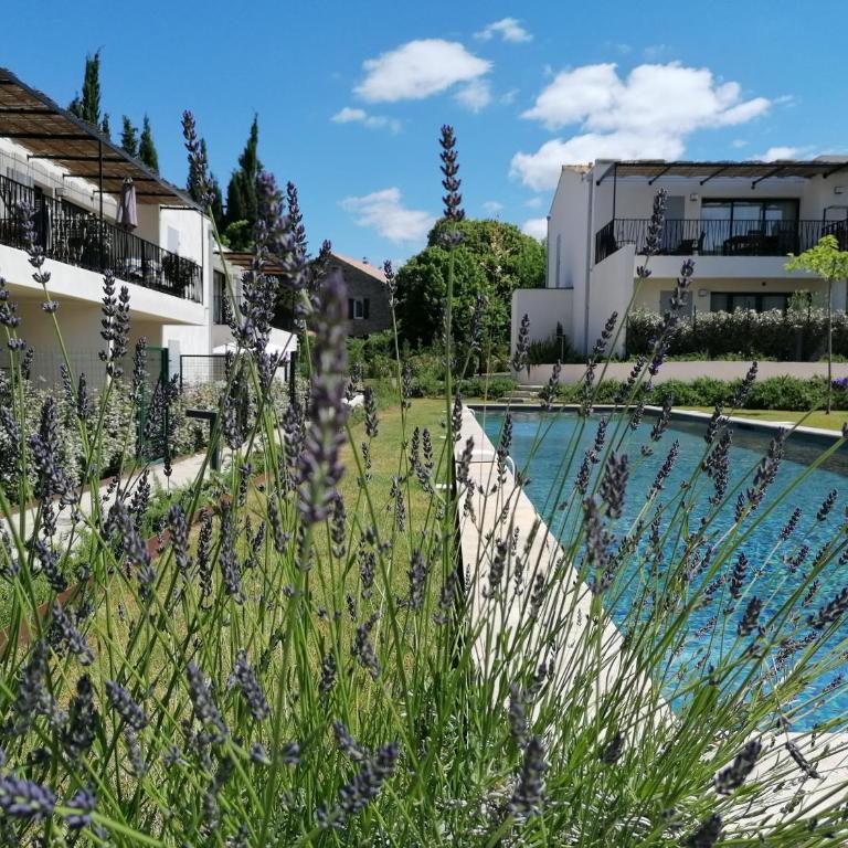 A GAUGUIN Cyclistes Ventoux - Appartement 1 Chambre - 39