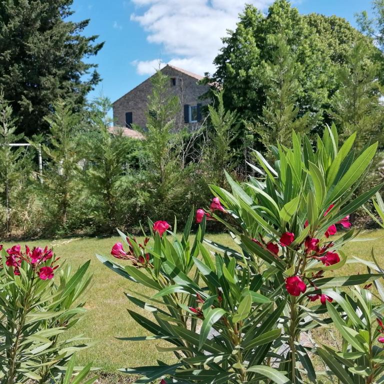 A GAUGUIN Cyclistes Ventoux - Appartement 1 Chambre - 44