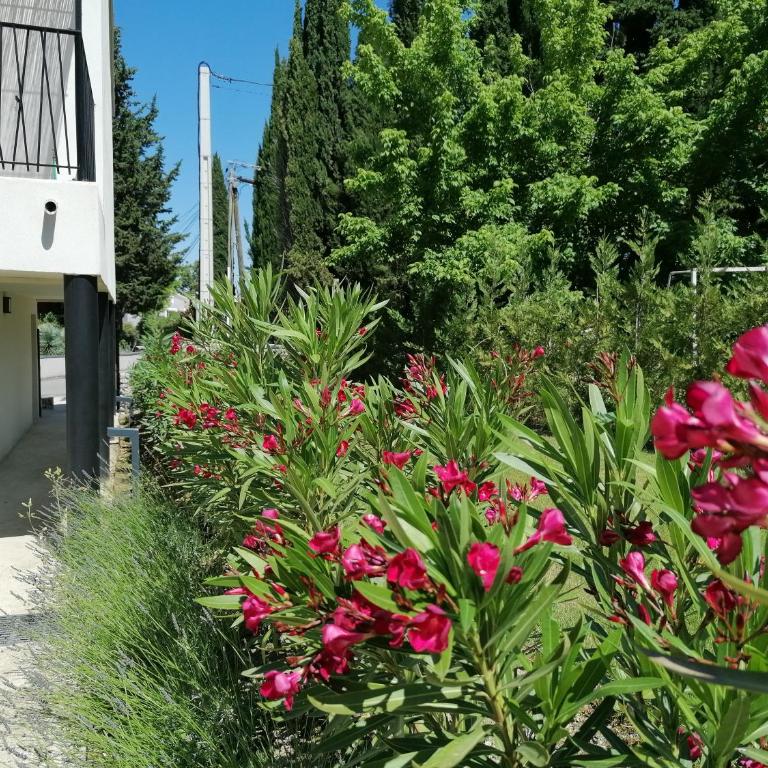 A GAUGUIN Cyclistes Ventoux - Appartement 1 Chambre - 46