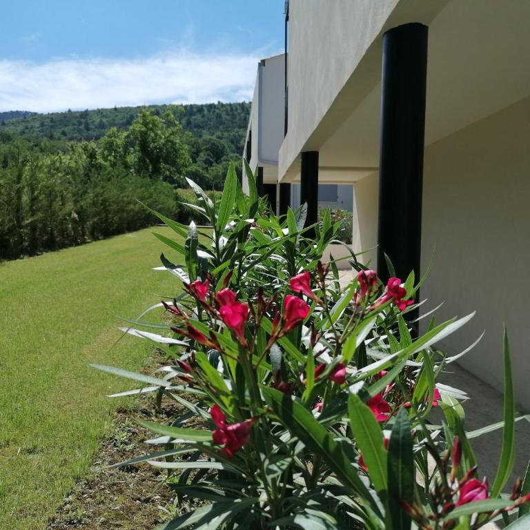 A GAUGUIN Cyclistes Ventoux - Appartement 1 Chambre - 48