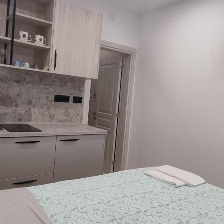 Apartments Cejovic - Economy Studio - 4